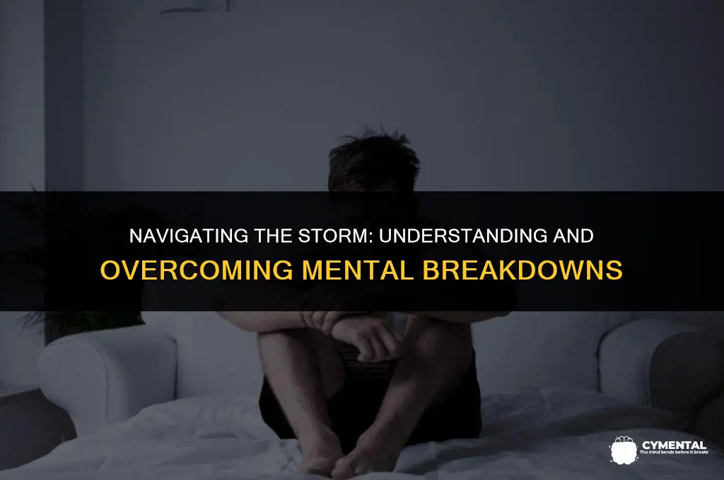 have a mental breakdown