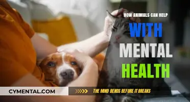 Healing Companions: How Animals Boost Mental Health and Well-Being