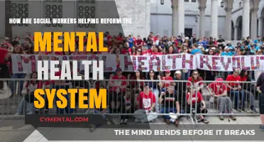 Social Workers: Catalysts for Mental Health System Reform and Change