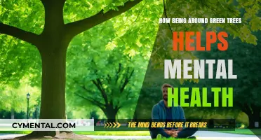 Nature's Embrace: How Green Trees Boost Mental Well-Being