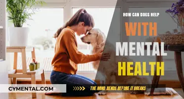 Dogs as Healers: Boosting Mental Health Through Canine Companionship