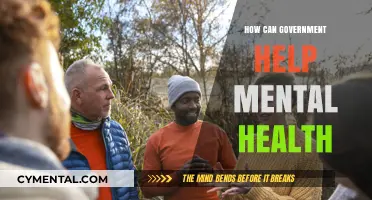 Government's Role in Supporting Mental Health: Strategies for a Healthier Nation
