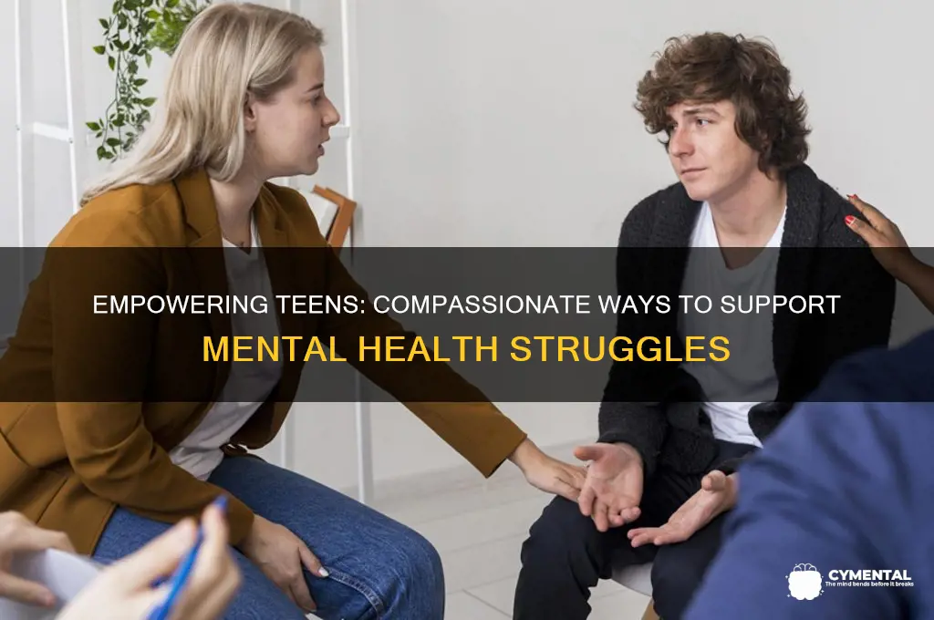 how can i as a teen help mental ill people