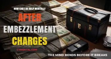 Healing After Embezzlement Charges: Mental Health Support and Recovery Strategies
