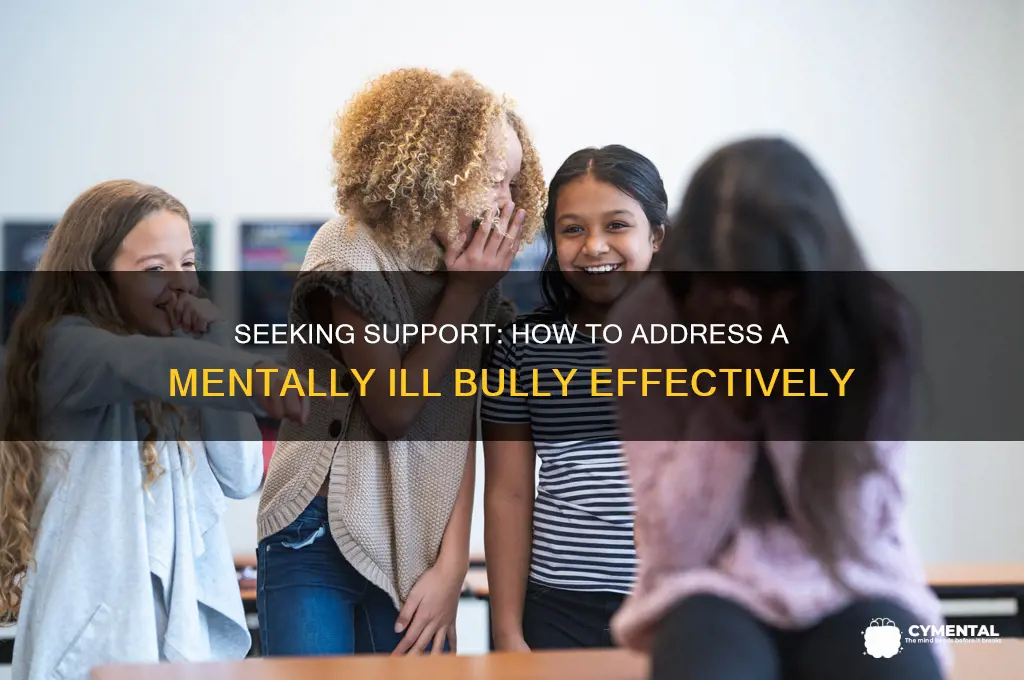 how can i get help for a mentally ill bully