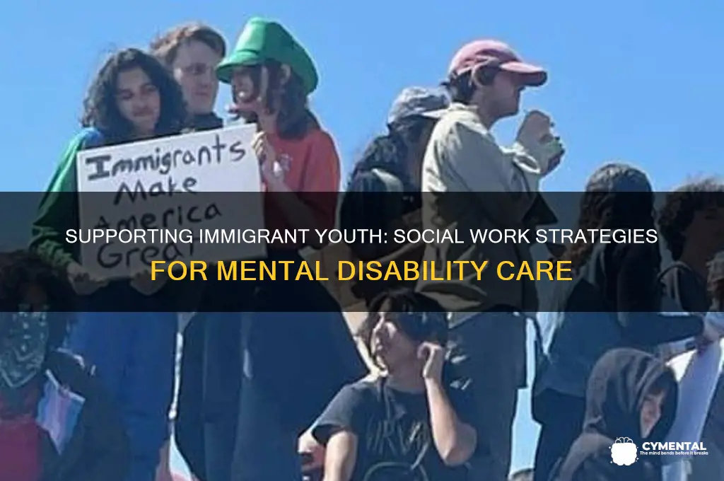 how can social workers help immigrant adolescents with mental disabilities