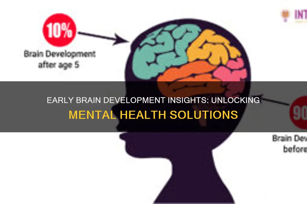how can studying early brain development help mental health