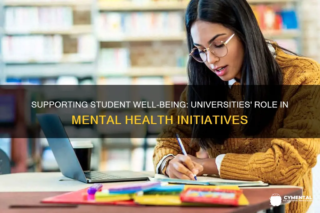 how can universities help with mental health