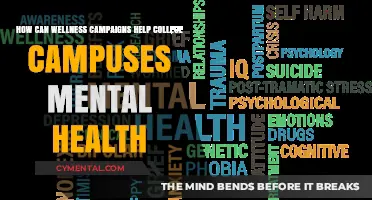 Wellness Campaigns: Empowering College Campuses for Better Mental Health