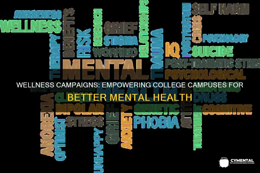 how can wellness campaigns help college campuses mental health
