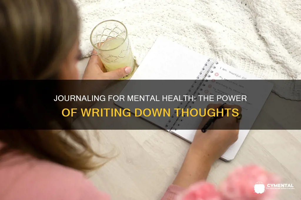 how can writing down help your mental health essay