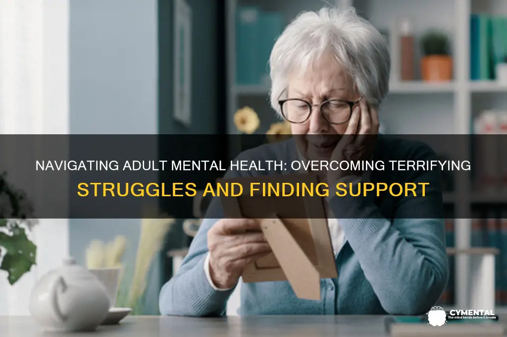 how can you get an adult mental help terros