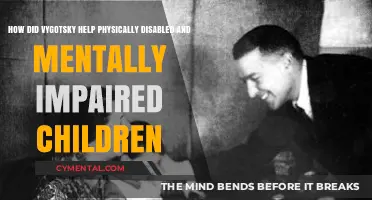 Vygotsky's Impact: Empowering Physically Disabled and Mentally Impaired Children