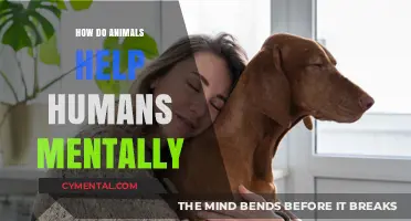 Animal Companionship: Boosting Mental Health and Emotional Well-Being in Humans