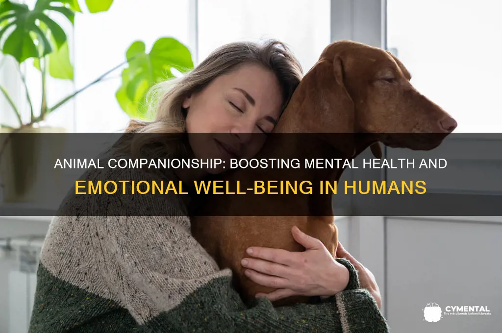 how do animals help humans mentally