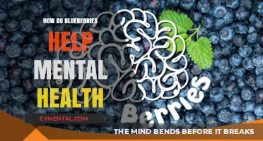 Blueberries Boost Brain Health: Enhancing Mood and Cognitive Function Naturally