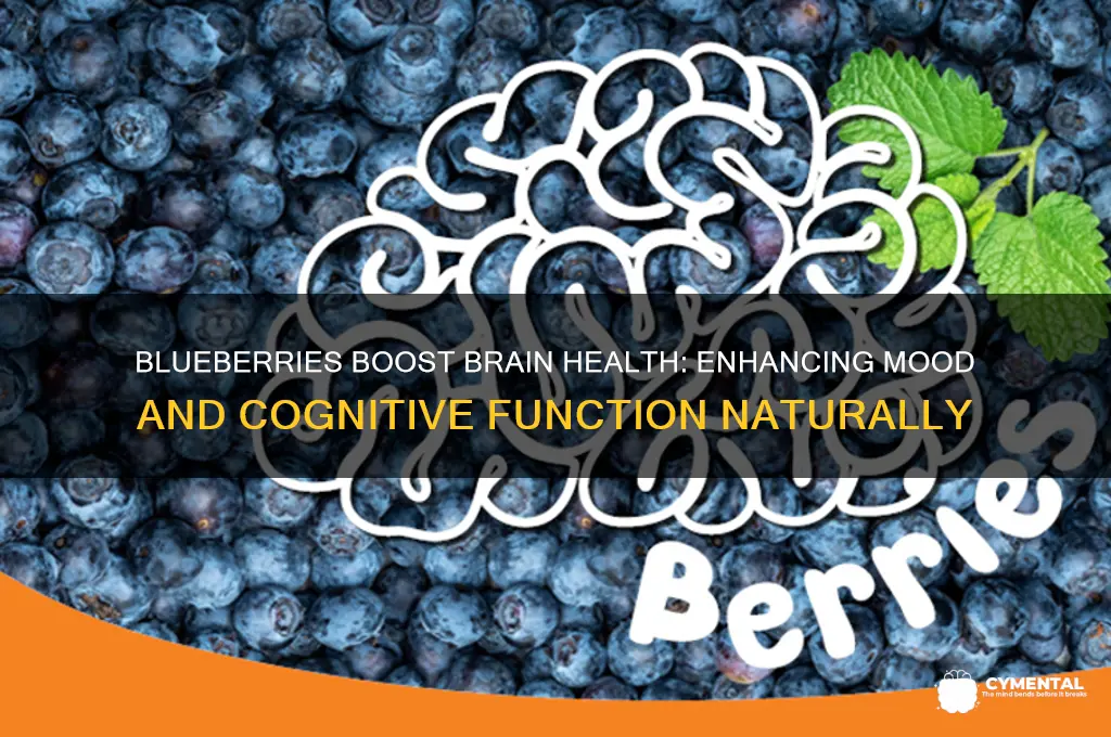 how do blueberries help mental health