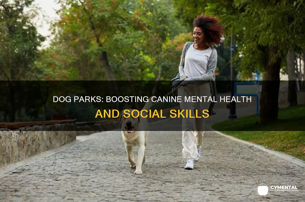 how do dog park help a dog mentally