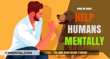 Canine Companions: How Dogs Boost Mental Health and Well-being