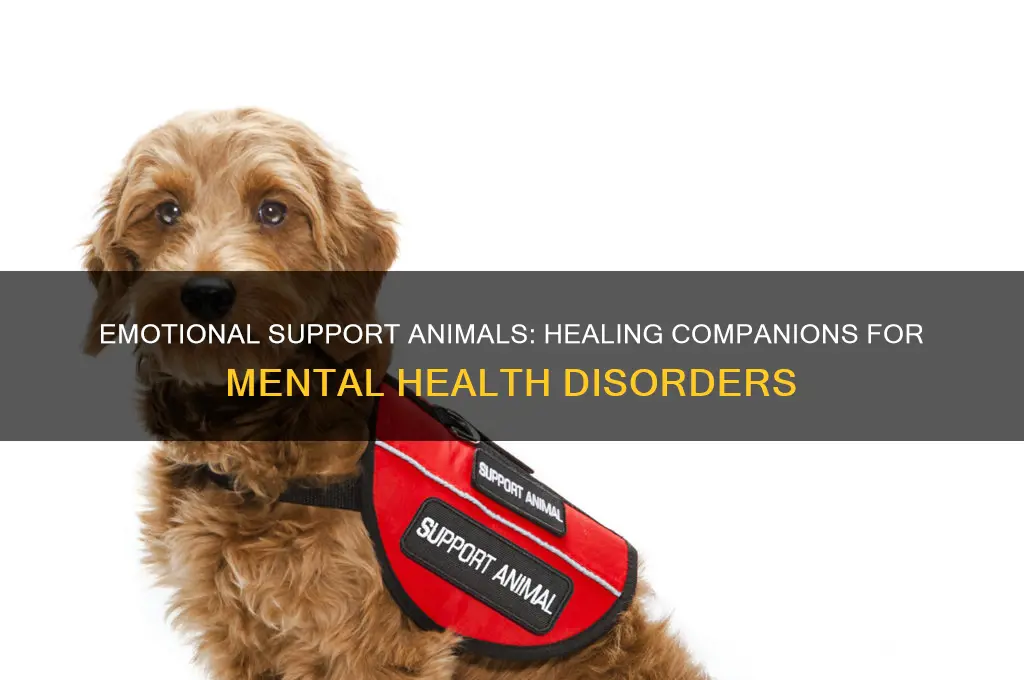 how do emotional support animals help with mental disorders