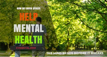 Green Spaces: Nature's Healing Power for Mental Well-Being