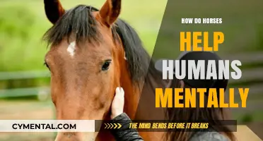 Healing Hooves: How Horses Boost Mental Health and Well-being