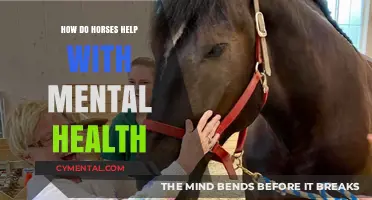 Equine Therapy: How Horses Heal and Improve Mental Health