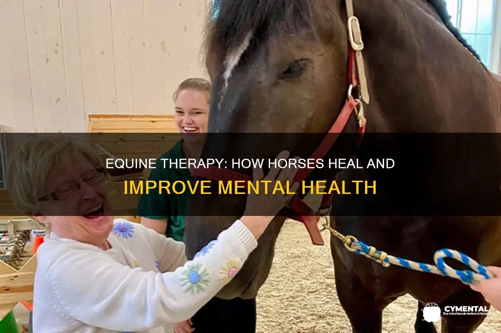 how do horses help with mental health