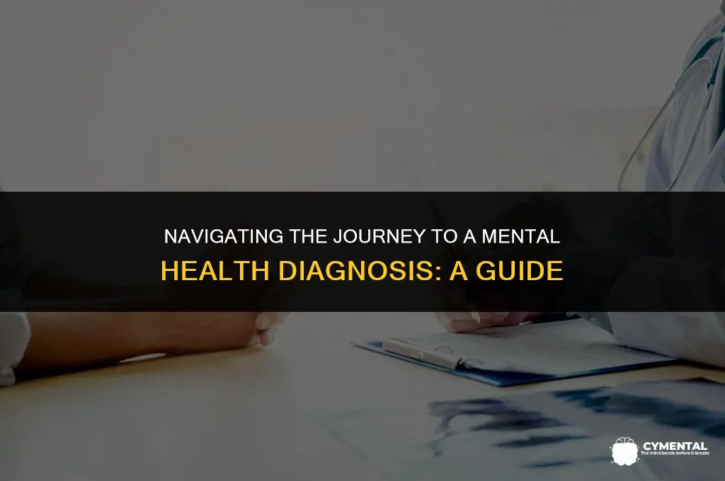 how do i get diagnosed with a mental illness