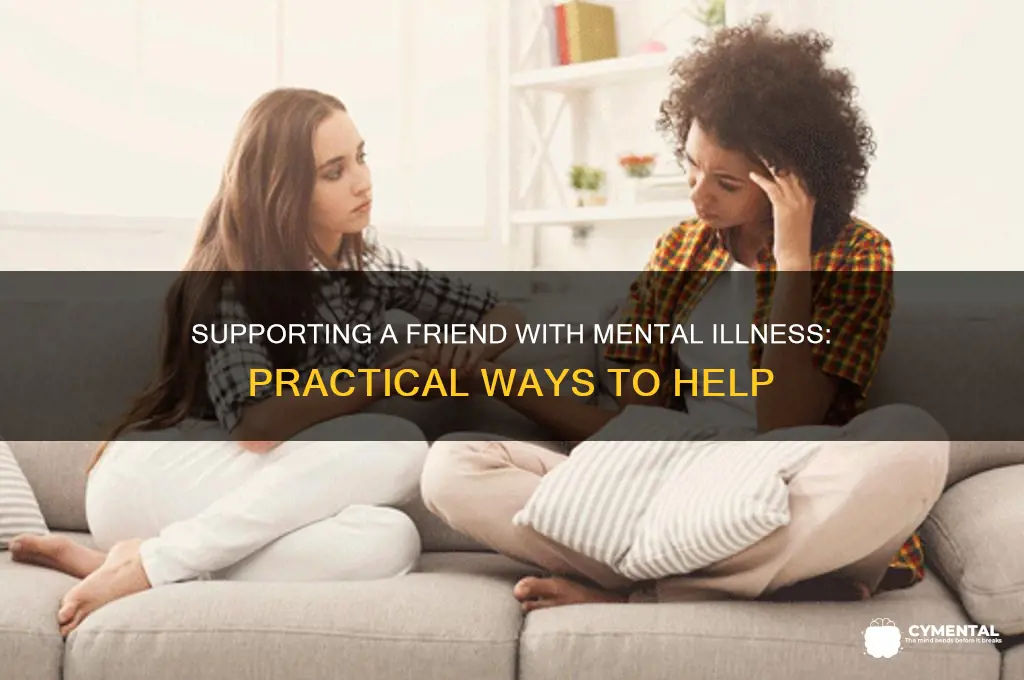 how do i help my mentally ill friend