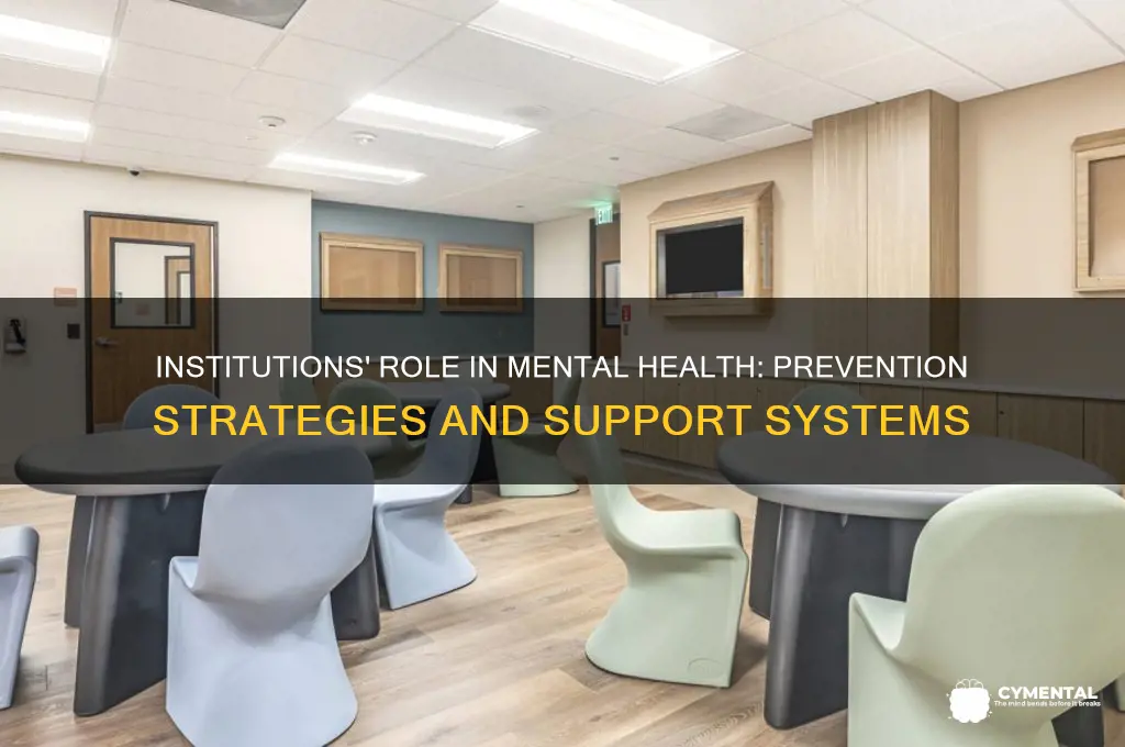 how do institutions help in preventing mental illness