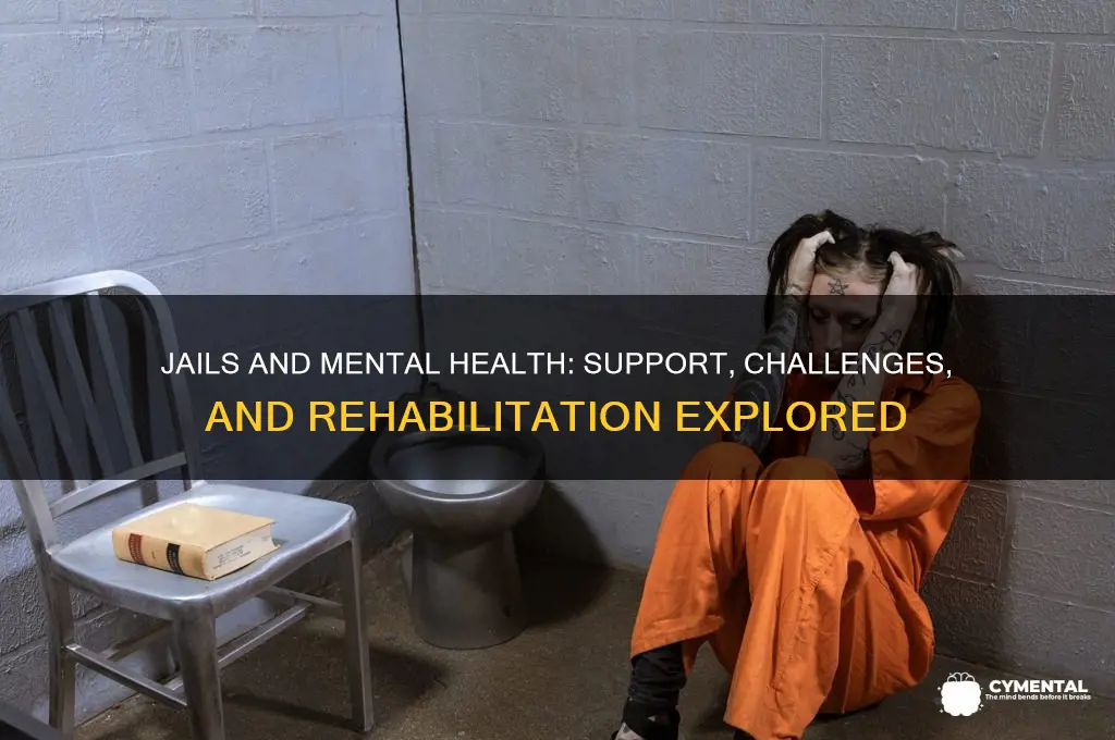 how do jails help people with mental illness