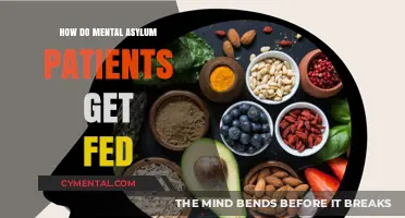 Nourishing Care: Feeding Practices in Mental Health Facilities