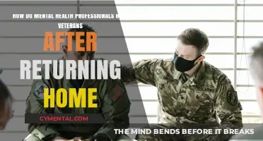 Supporting Veterans: Mental Health Professionals' Role in Post-Service Transition