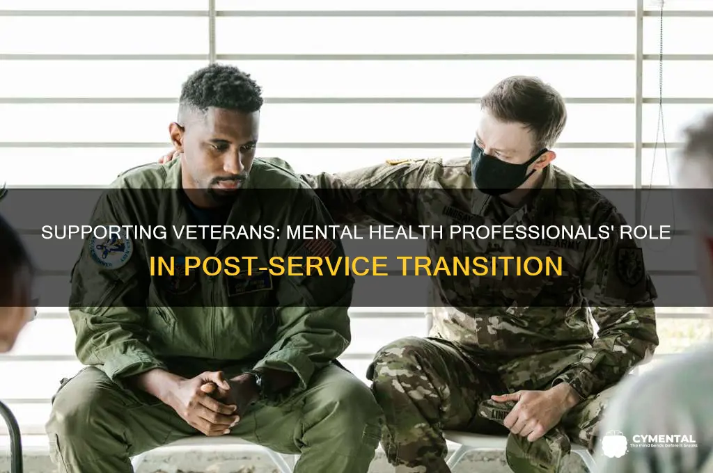 how do mental health professionals help veterans after returning home