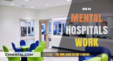 Unveiling the Inner Workings of Mental Health Facilities