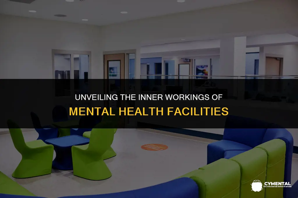 how do mental hospitals work