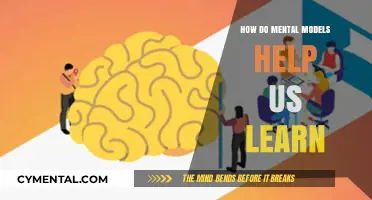 Unlocking Learning Potential: The Power of Mental Models Explained