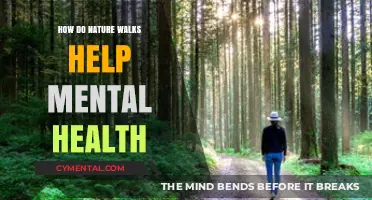 Nature Walks: A Powerful Boost for Mental Health and Well-Being