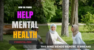 Green Spaces, Healthy Minds: Parks' Impact on Mental Well-being