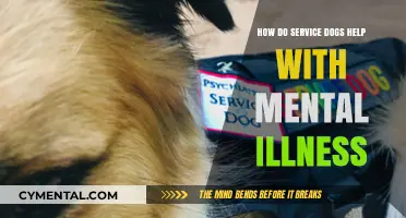 Service Dogs: Transforming Mental Health Support and Healing Lives