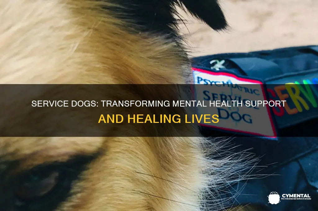 how do service dogs help with mental illness