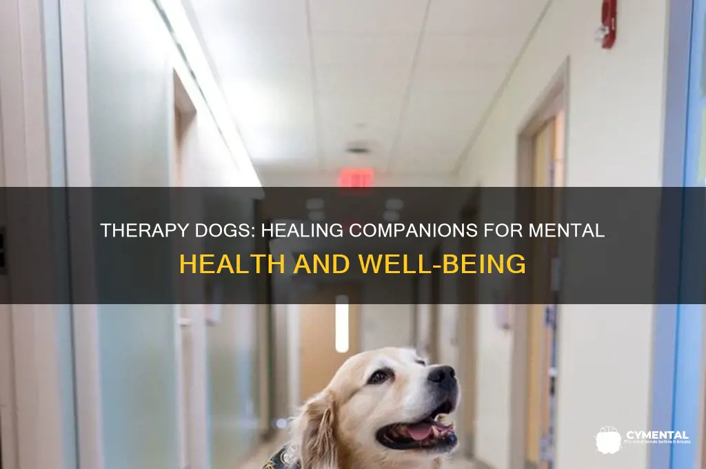 how do therapy dogs help with mental health