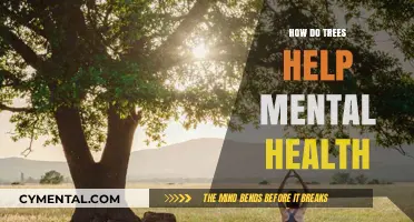 Nature's Therapy: How Trees Boost Mental Health and Well-Being