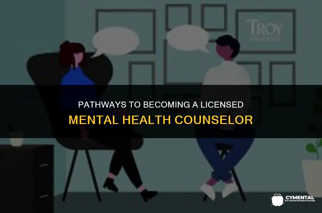 how do you become a licensed mental health counselor