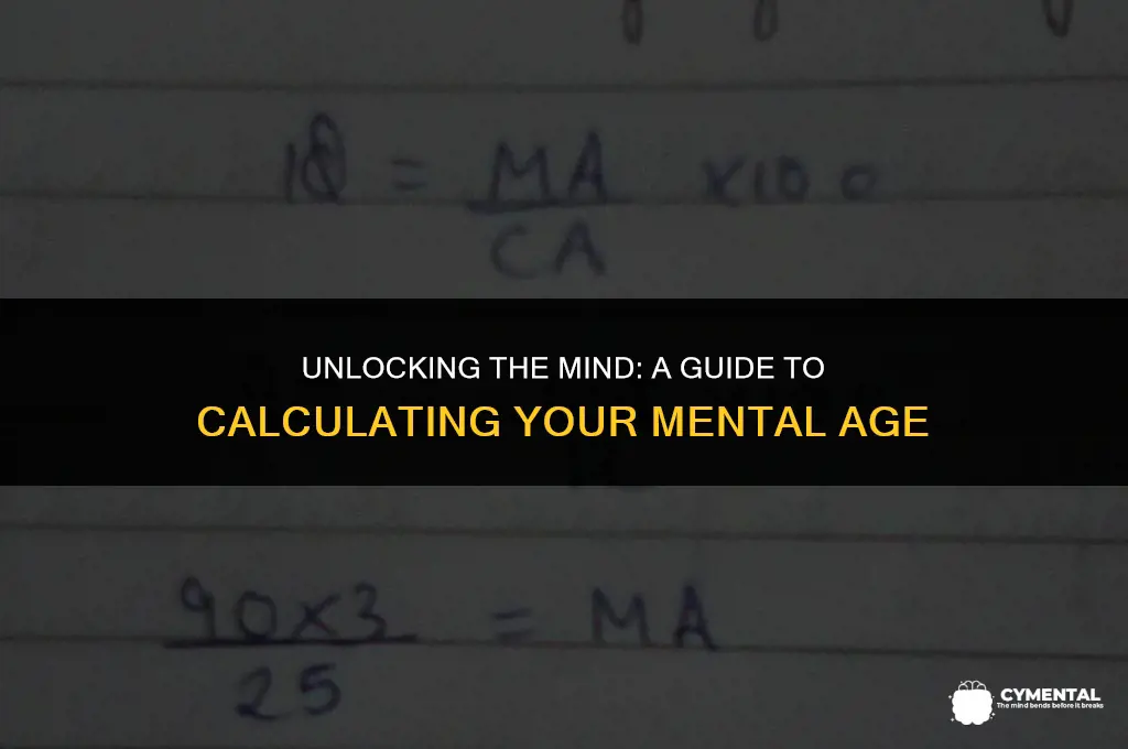 how do you calculate mental age