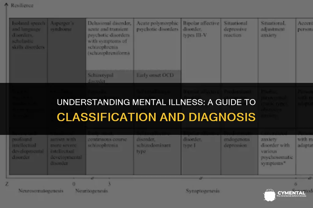 how do you classify someone as mentally ill