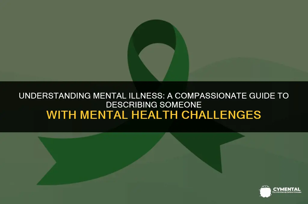 how do you describe someone with mental illness