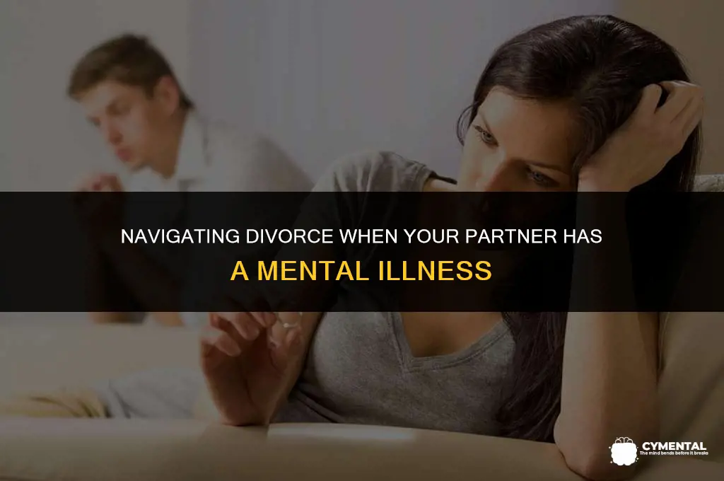 how do you divorce someone with mental illness