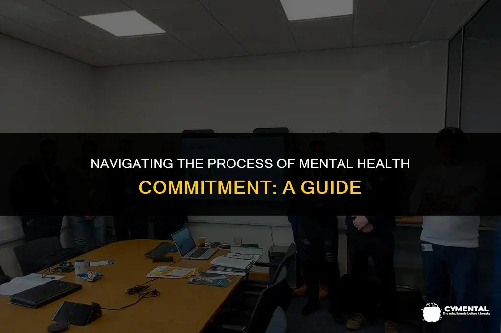 how do you have someone committed for mental illness